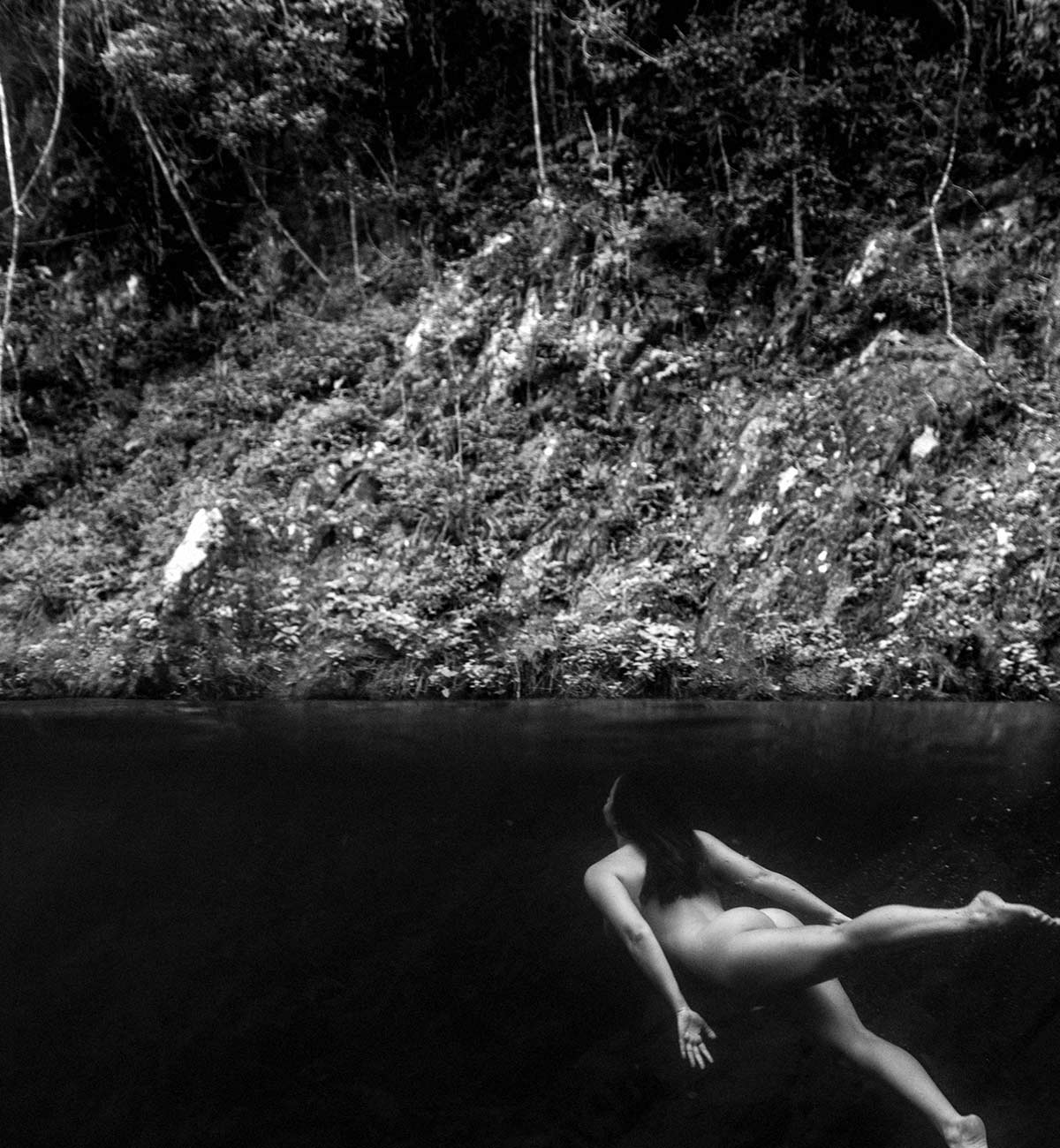 Andy Staley - Ella - Image 2