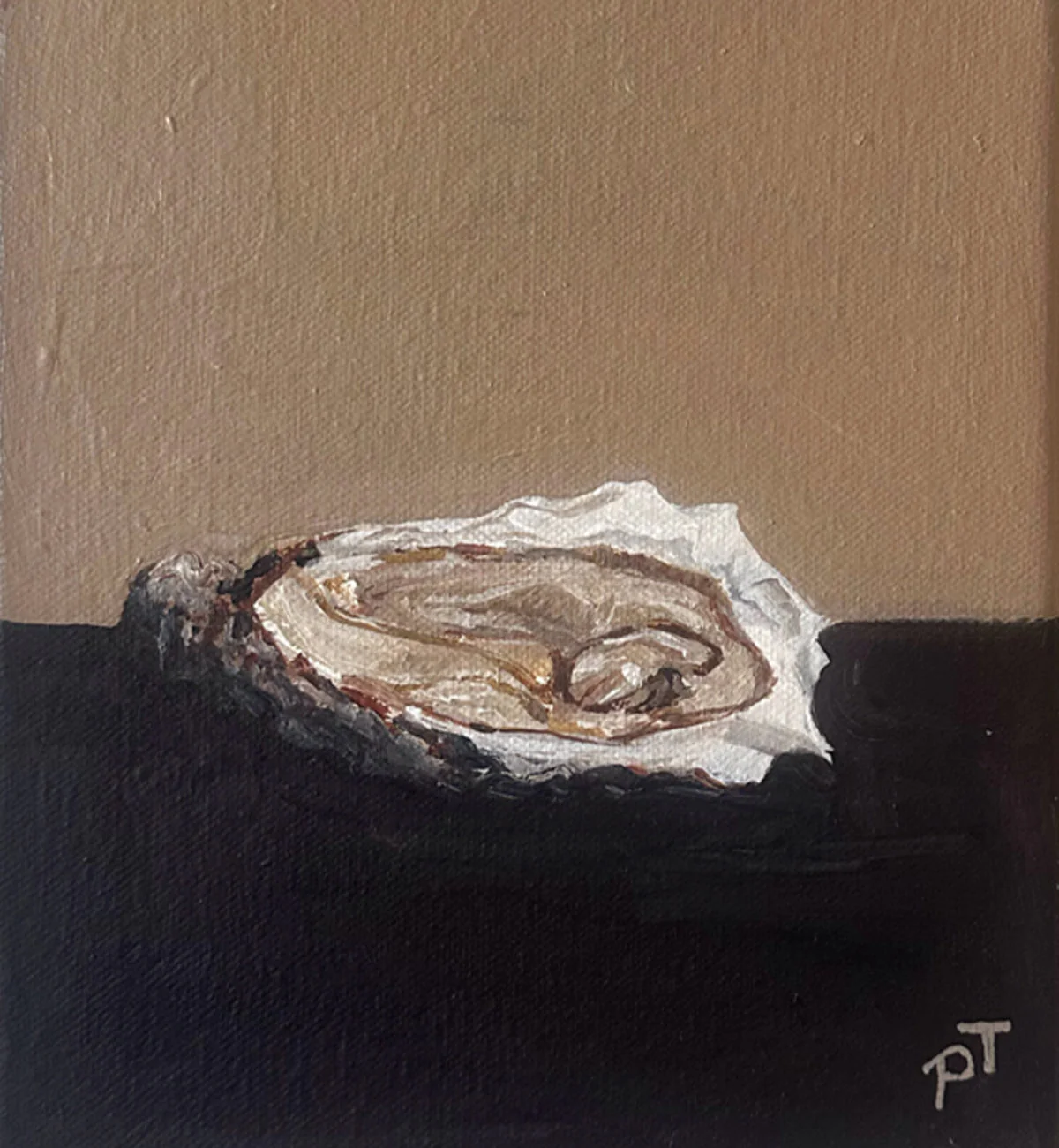 Parita Thakkar - Open Shell - Image 2