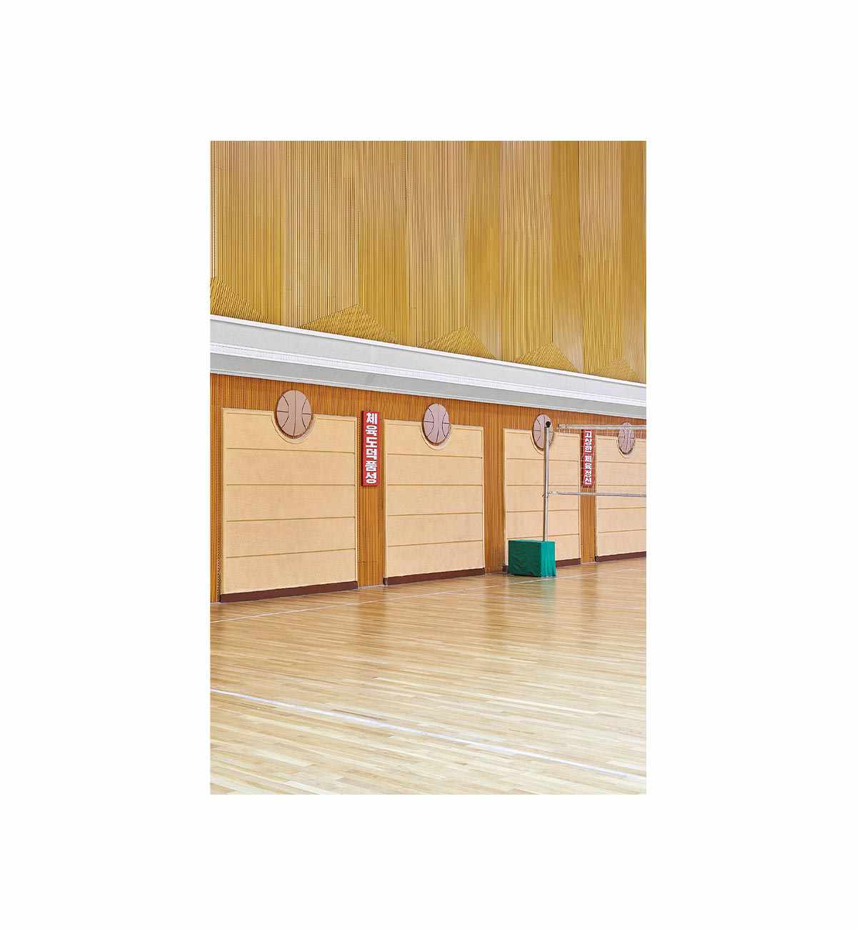 Dave Kulesza - Volleyball Gymnasium