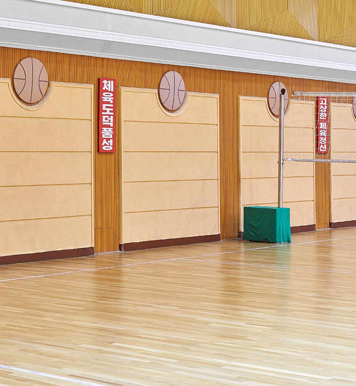 Dave Kulesza - Volleyball Gymnasium - Image 4